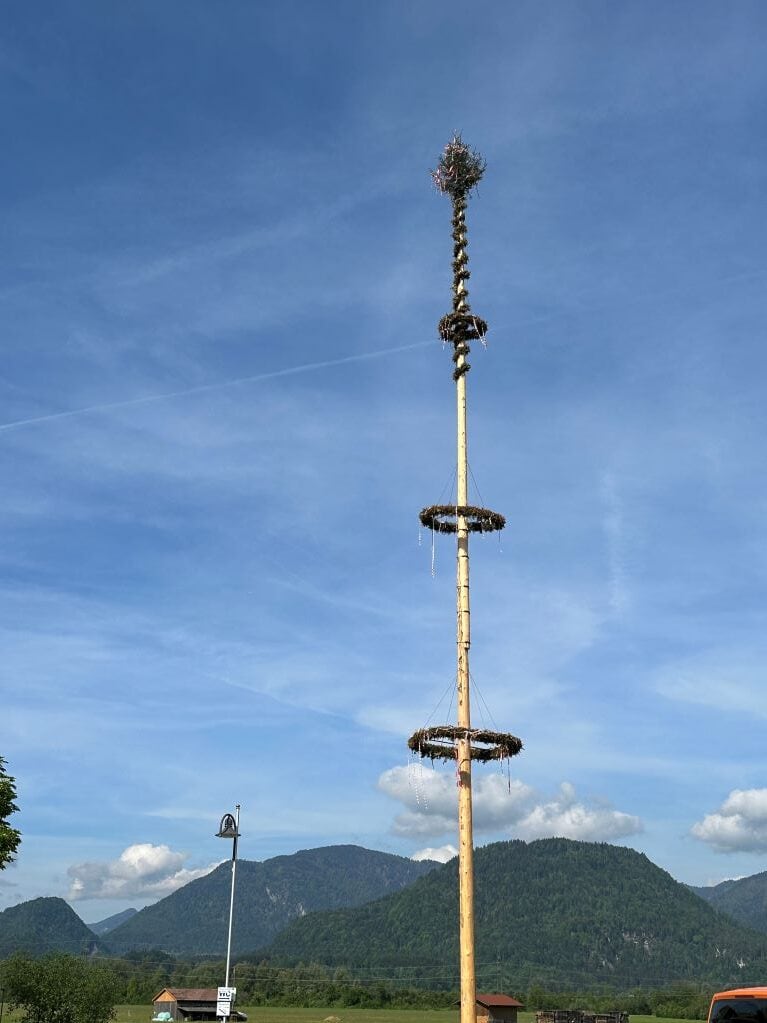 Maibaum Ebbs in Tirol