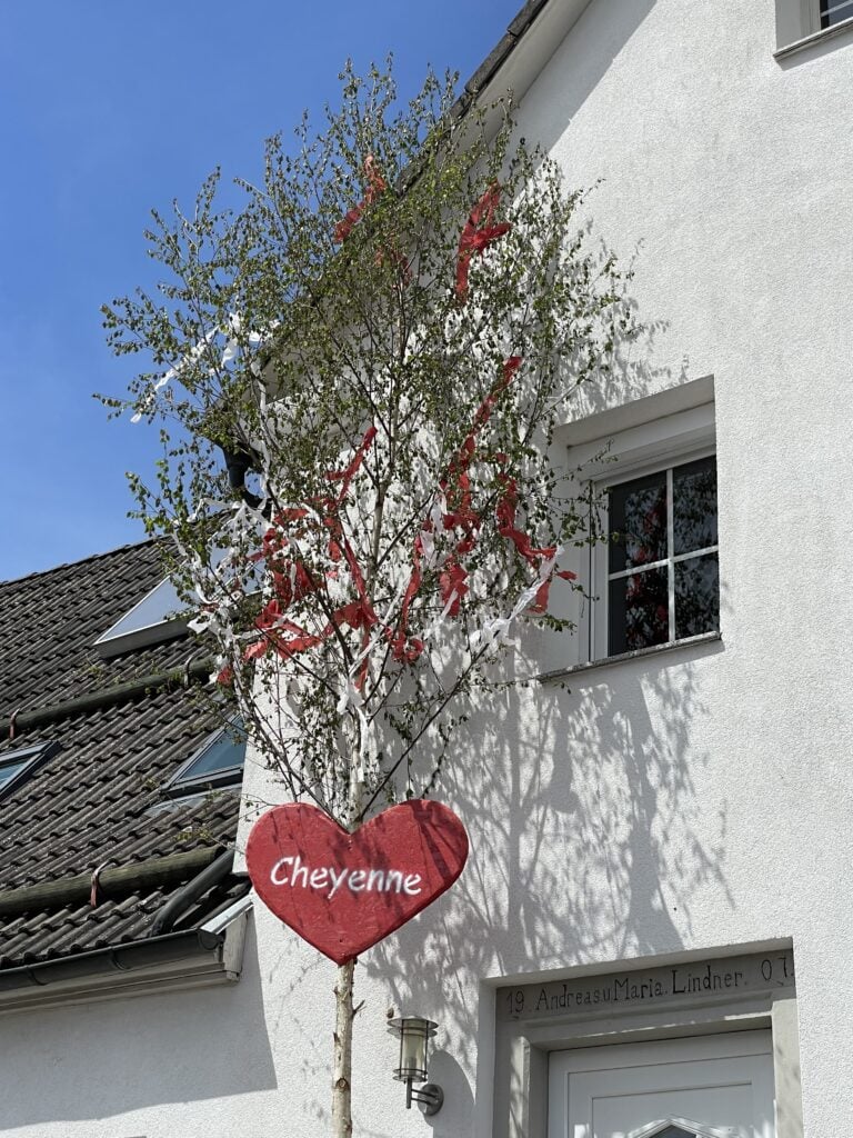 Die Gemeinde Fichtenau Unterdeufstetten hat wohl dieses Jahr keinen Maibaum aufgestellt. Aber Cheyenne aus der Kapellengasse hat die Fichtenauer gerettet. Sie hat von Ihrem Lieben einen wunderschönen Birken Maibaum erhalten!